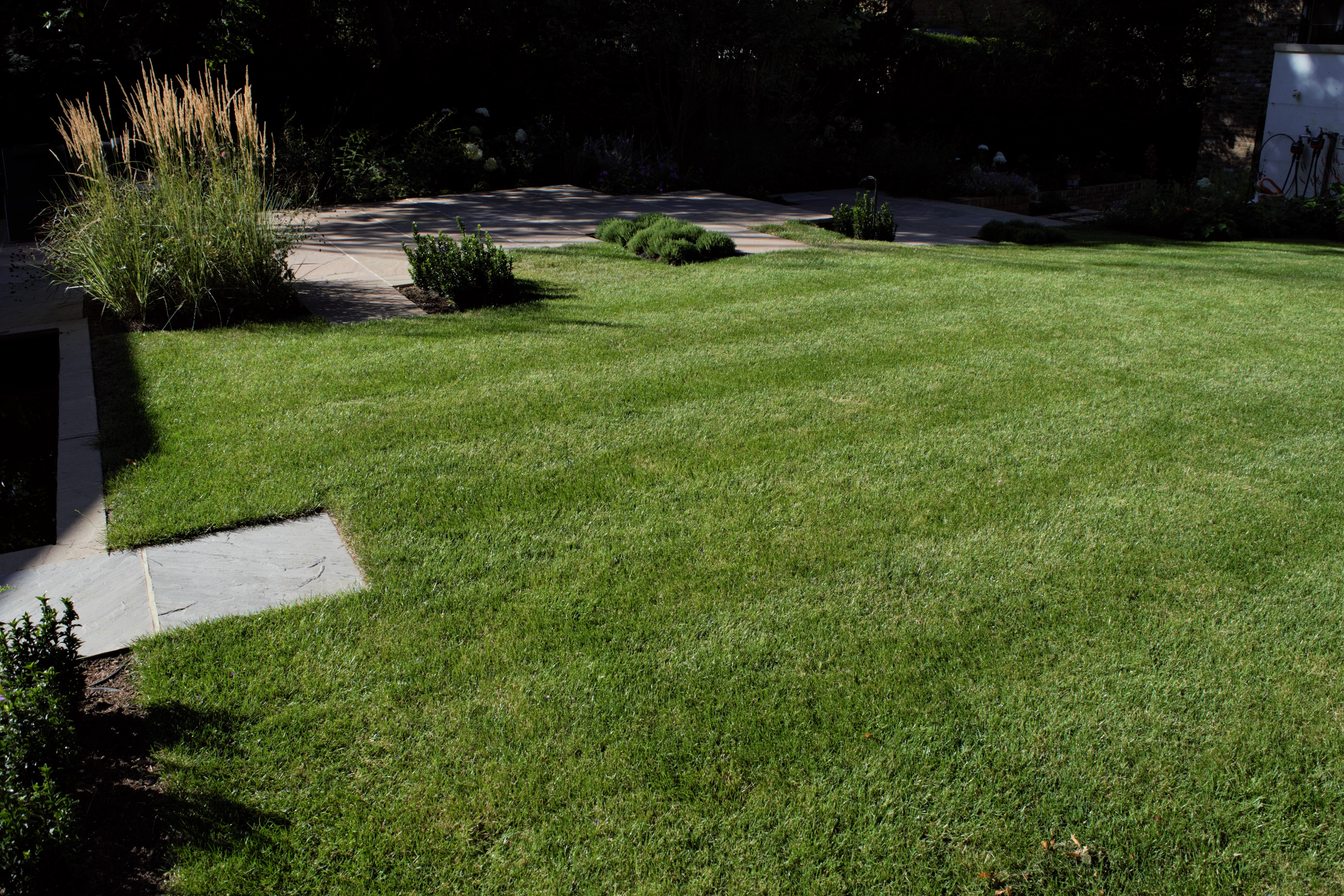 Pest and fungus control