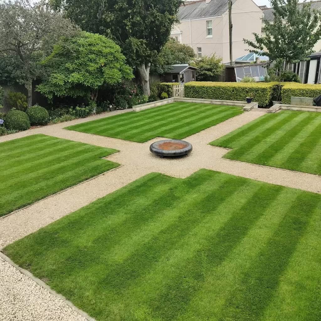 New lawn